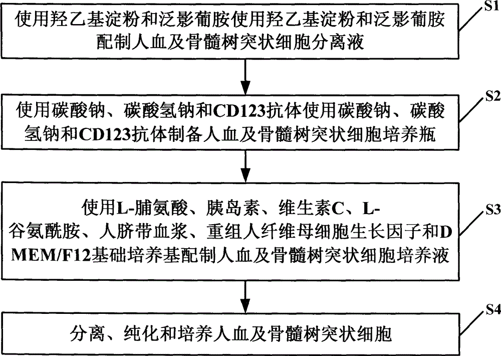 Method for separating, purifying and culturing human blood and marrow dendritic cells