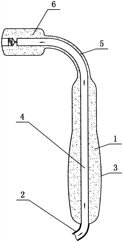 A device for spraying and scrubbing the anus after defecating