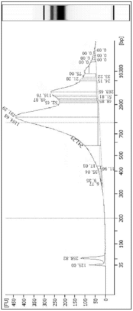 Method for detecting embryo chromosome abnormalities by using blastula-stage embryo cells