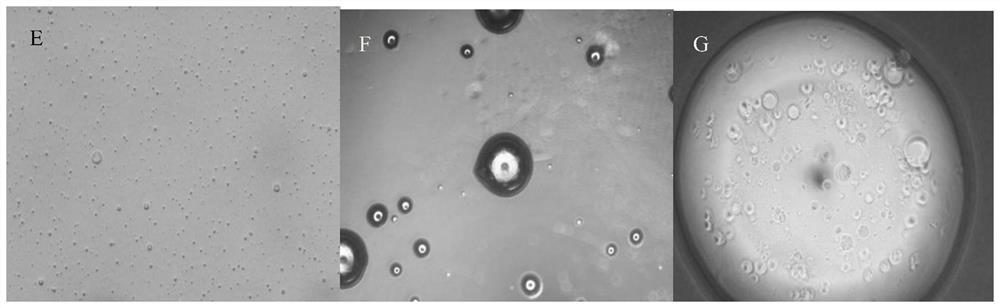 Exosome/honey compounded drug-loaded sustained-release microspheres and preparation method thereof