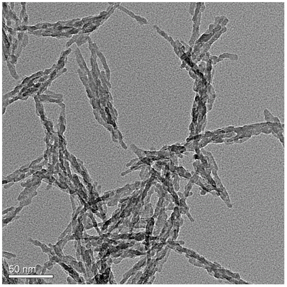 Sodium alginate-hydroxyapatite hybridization nano particle and preparing method thereof