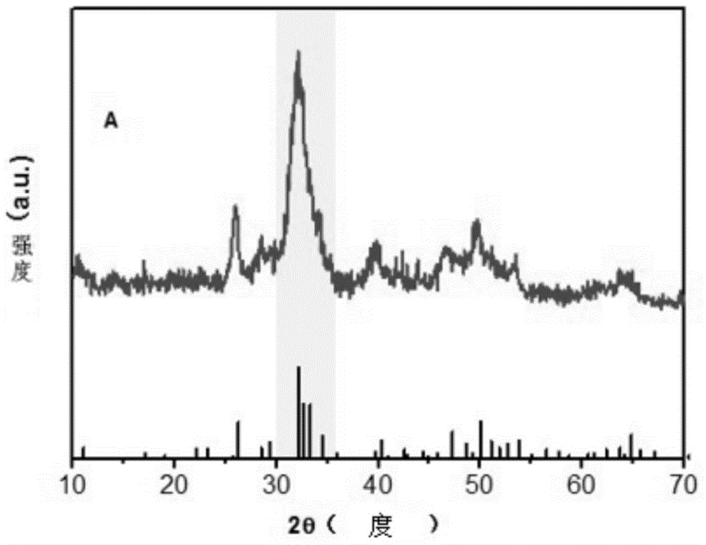 Sodium alginate-hydroxyapatite hybridization nano particle and preparing method thereof