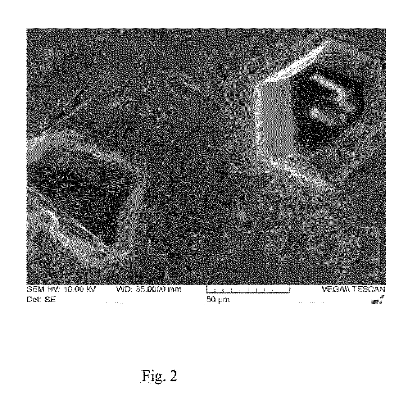 Corrosion-Resistant CMP Conditioning Tools and Methods for Making and Using Same