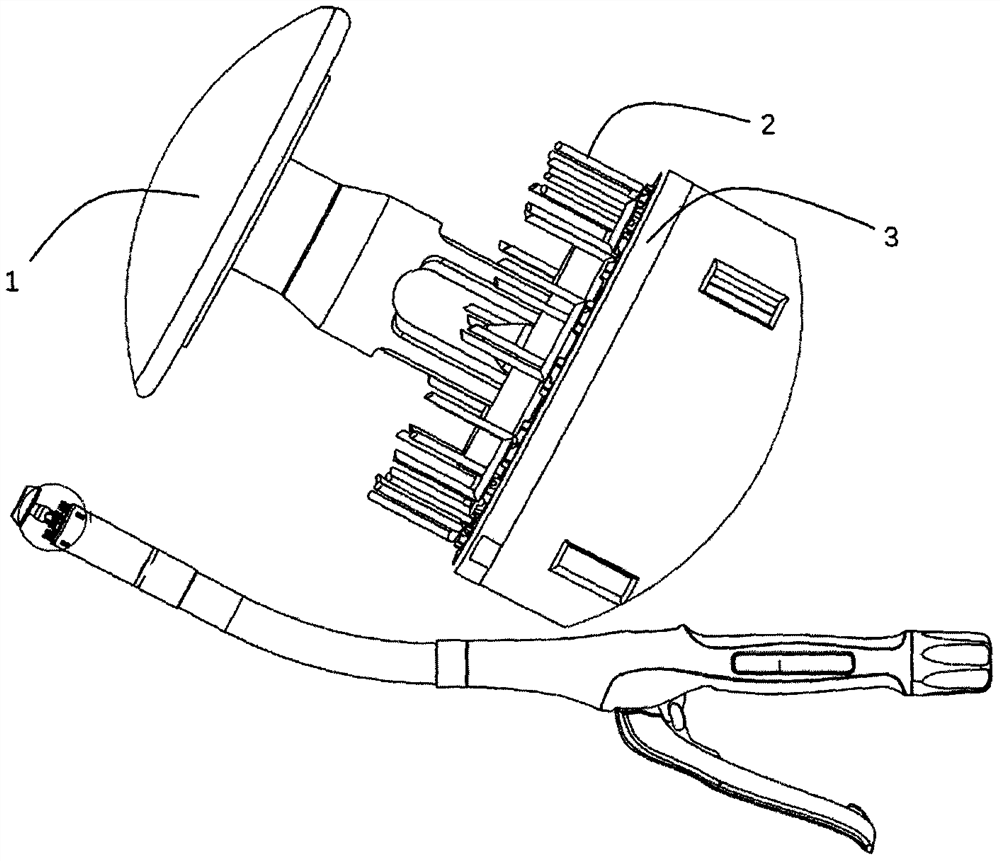 Tubular anastomat with nail groove with coating