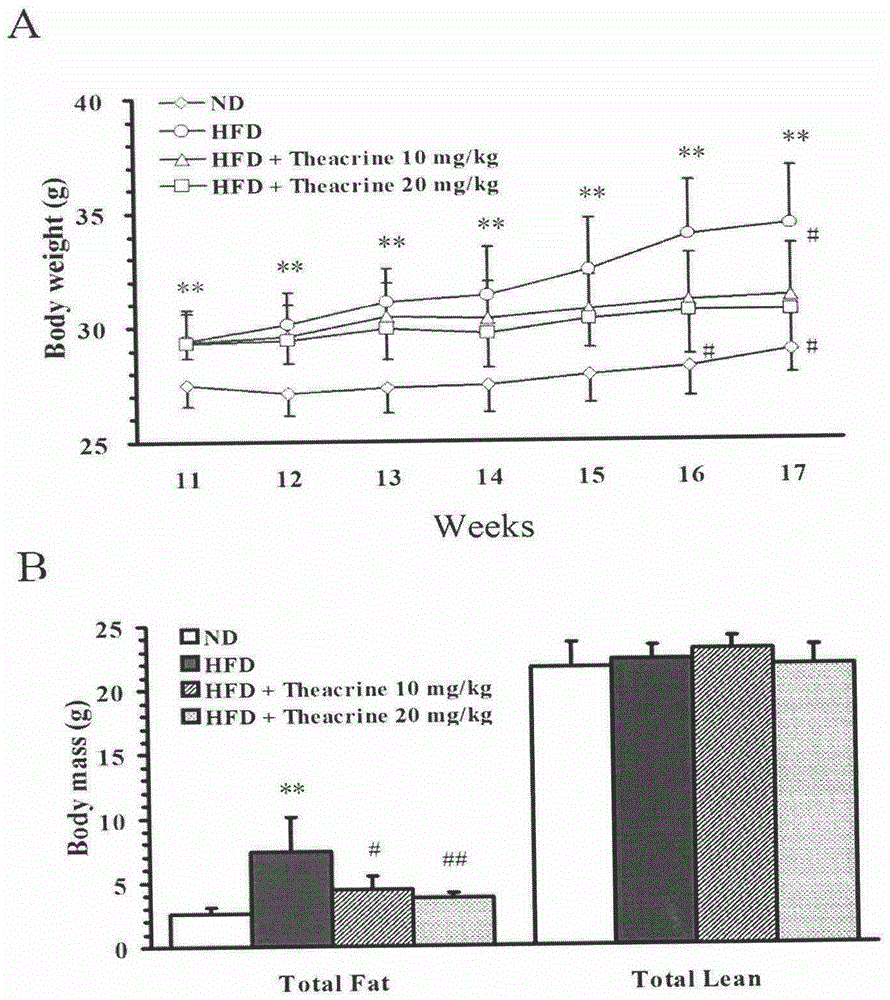 New application of theacrine in promotion of fat burning