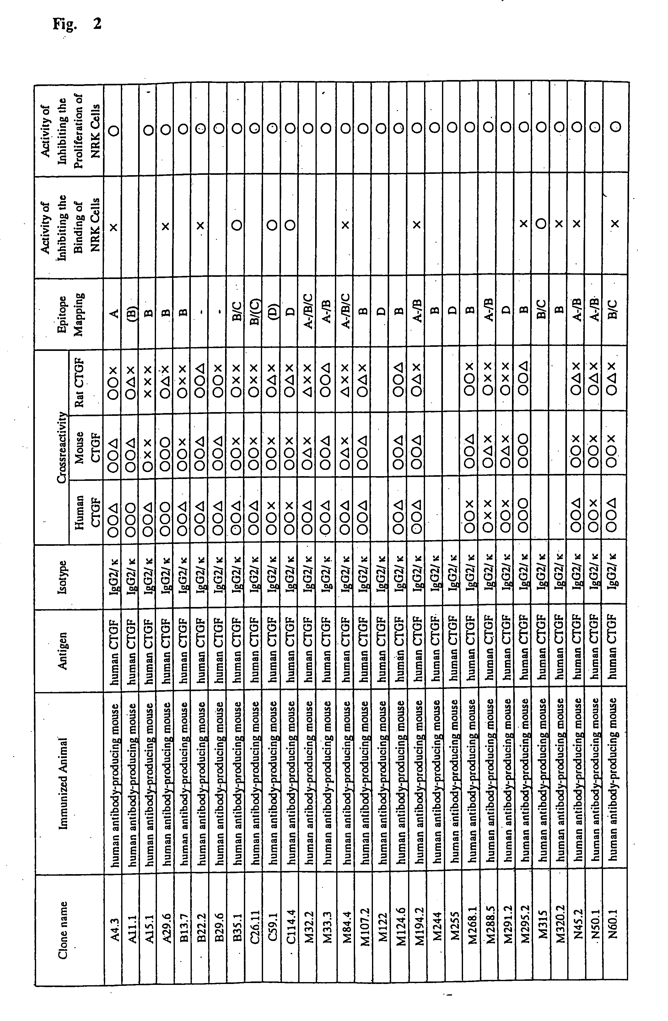 Monoclonal antibody against connective tissue growth factor and medicinal uses thereof