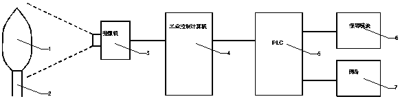 A kind of external vapor deposition method jet flame detection device and method