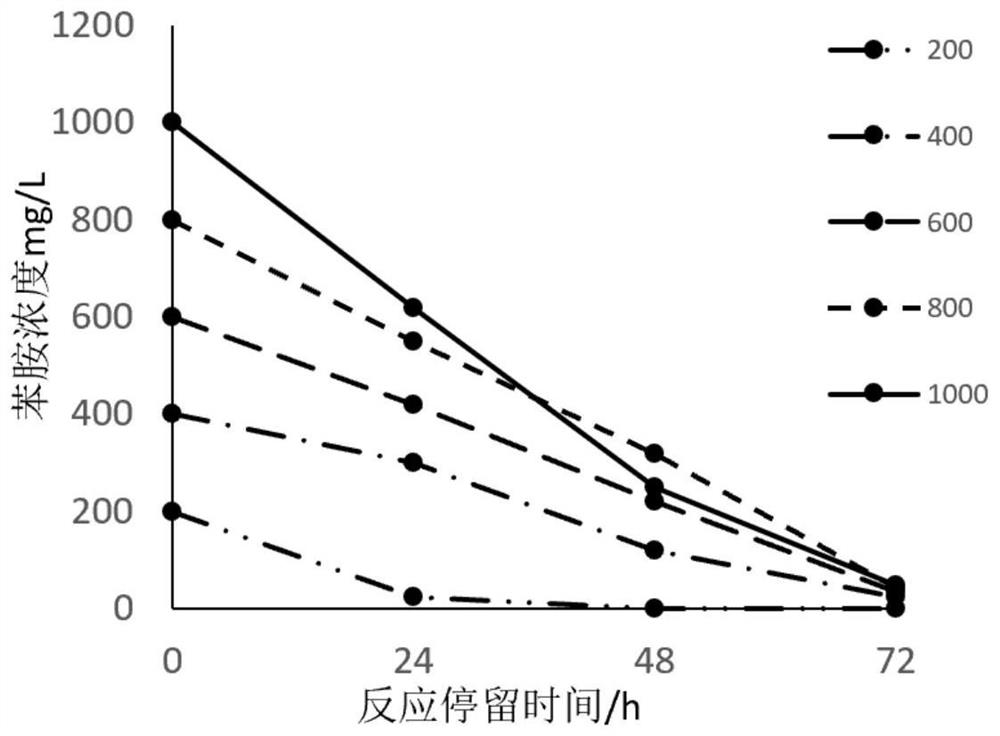 Aniline high-efficiency degradation microbial agent, preparation method thereof and application of aniline high-efficiency degradation microbial agent in chemical wastewater