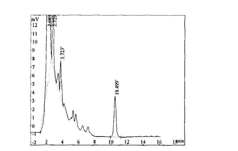 Compound lumbricus extract, and preparation process and composition thereof