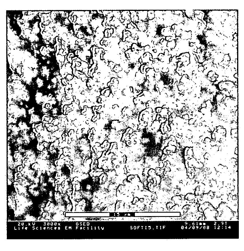 Composite material comprising layered hydrophilic coatings