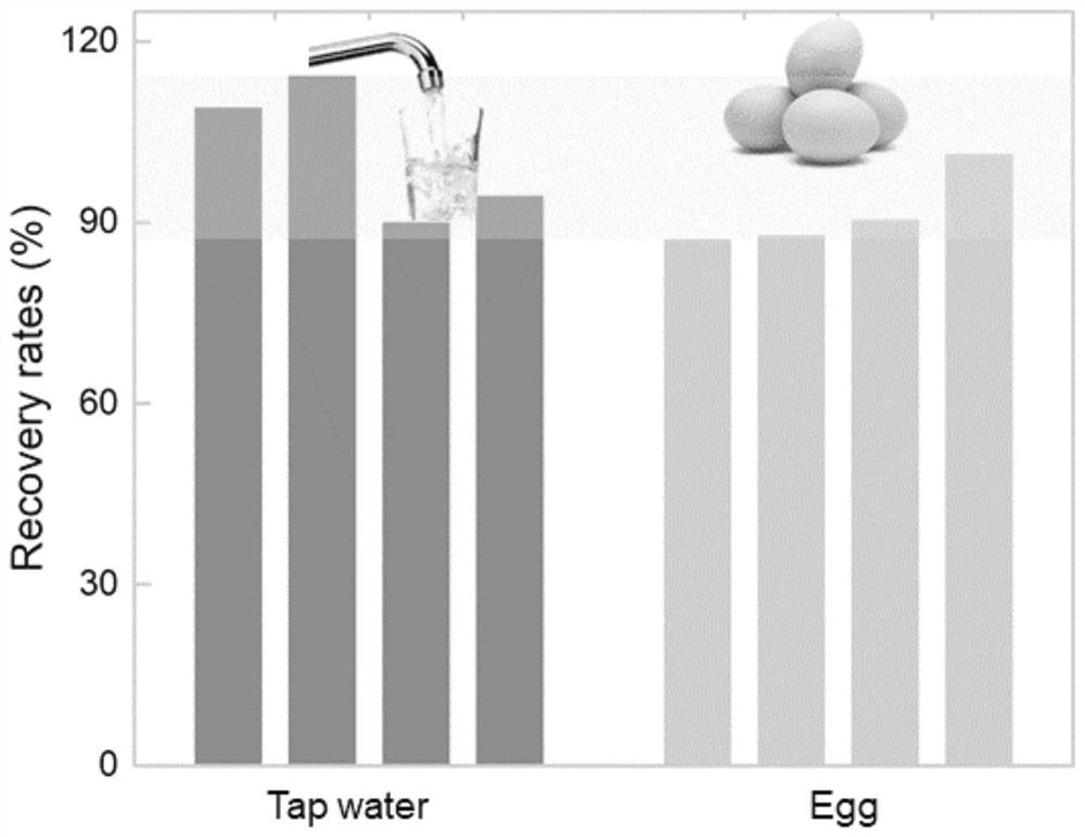 A functional nucleic acid fluorescent sensor and its application in lead ion detection