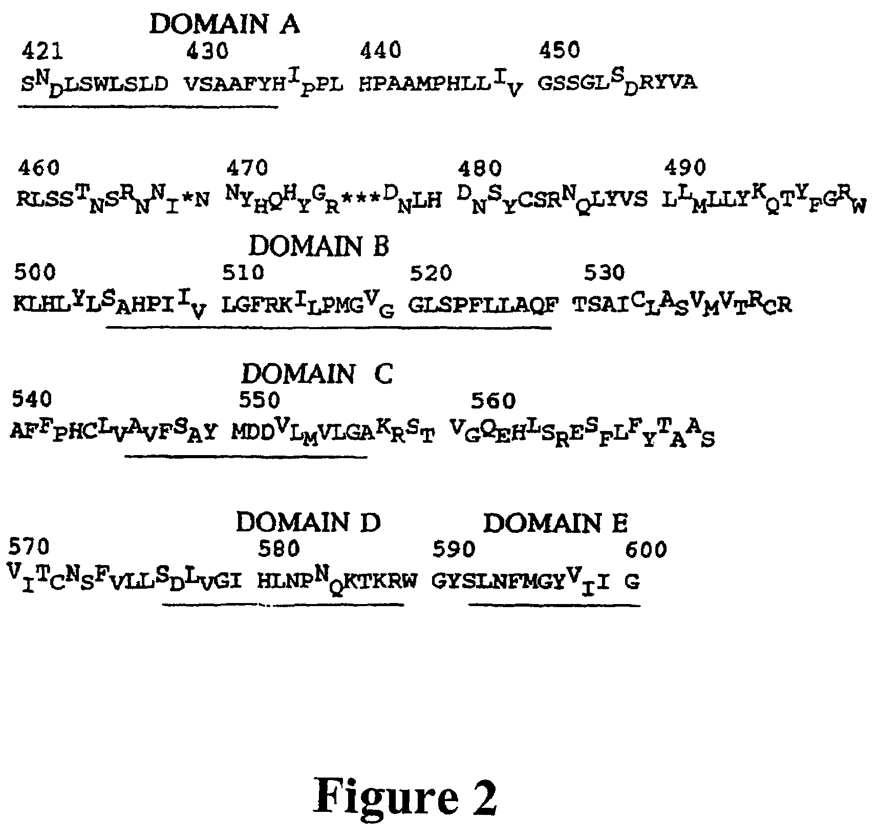 Hepatitis B virus DNA polymerase and surface antigen variants and methods of using same