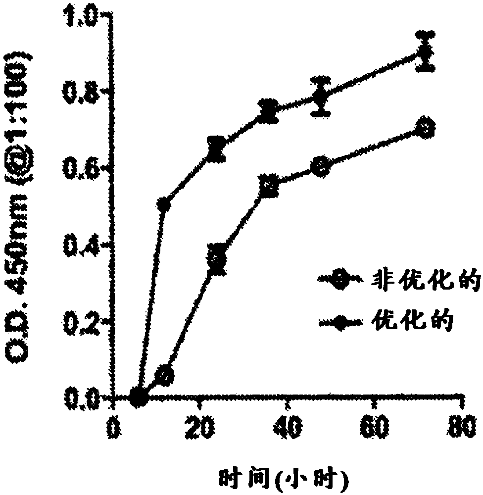 DNA antibody constructs and method of using same