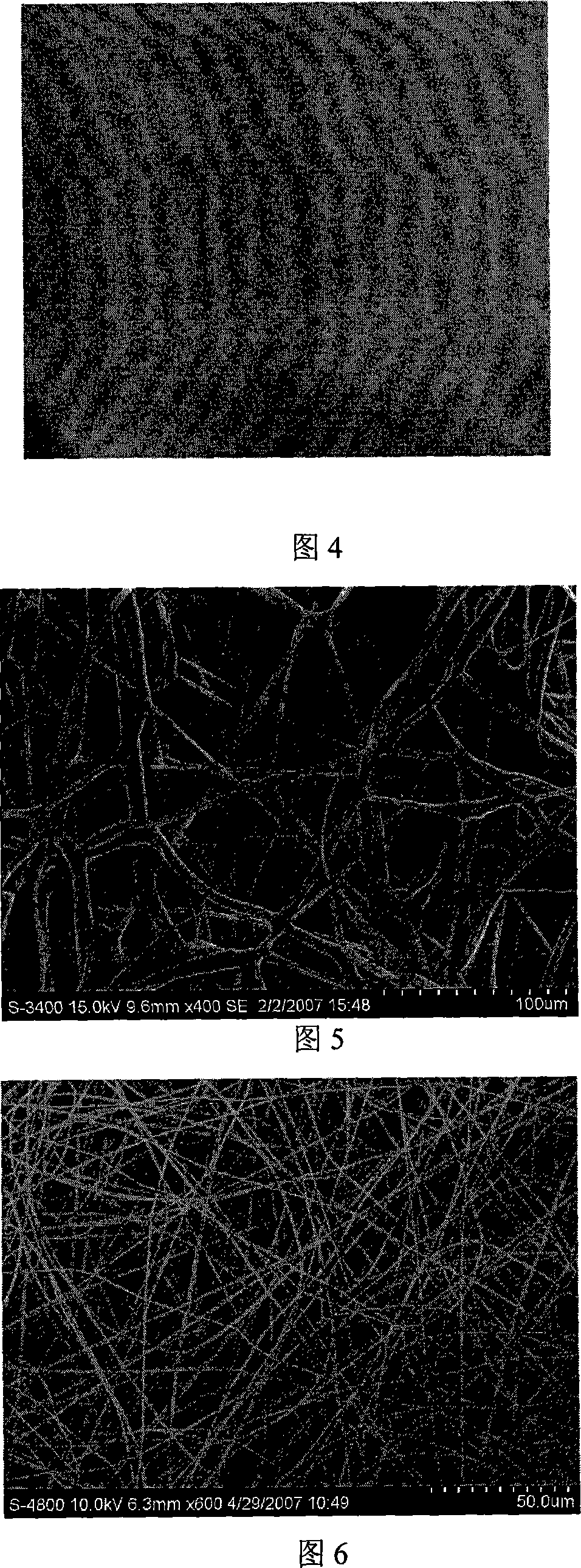 Polycarbonate nonwoven film and preparation method therefor