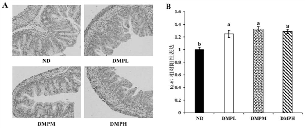 Donkey milk product as well as preparation method and application thereof