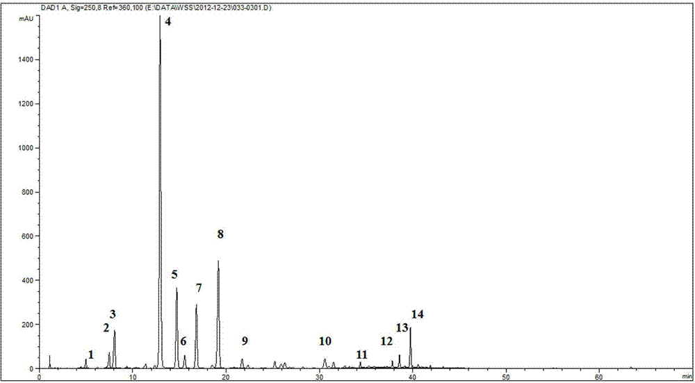 Construction method of HPLC (High Performance Liquid Chromatography) fingerprint spectrum of salvia miltiorrhiza and radix puerariae depression relieving drug