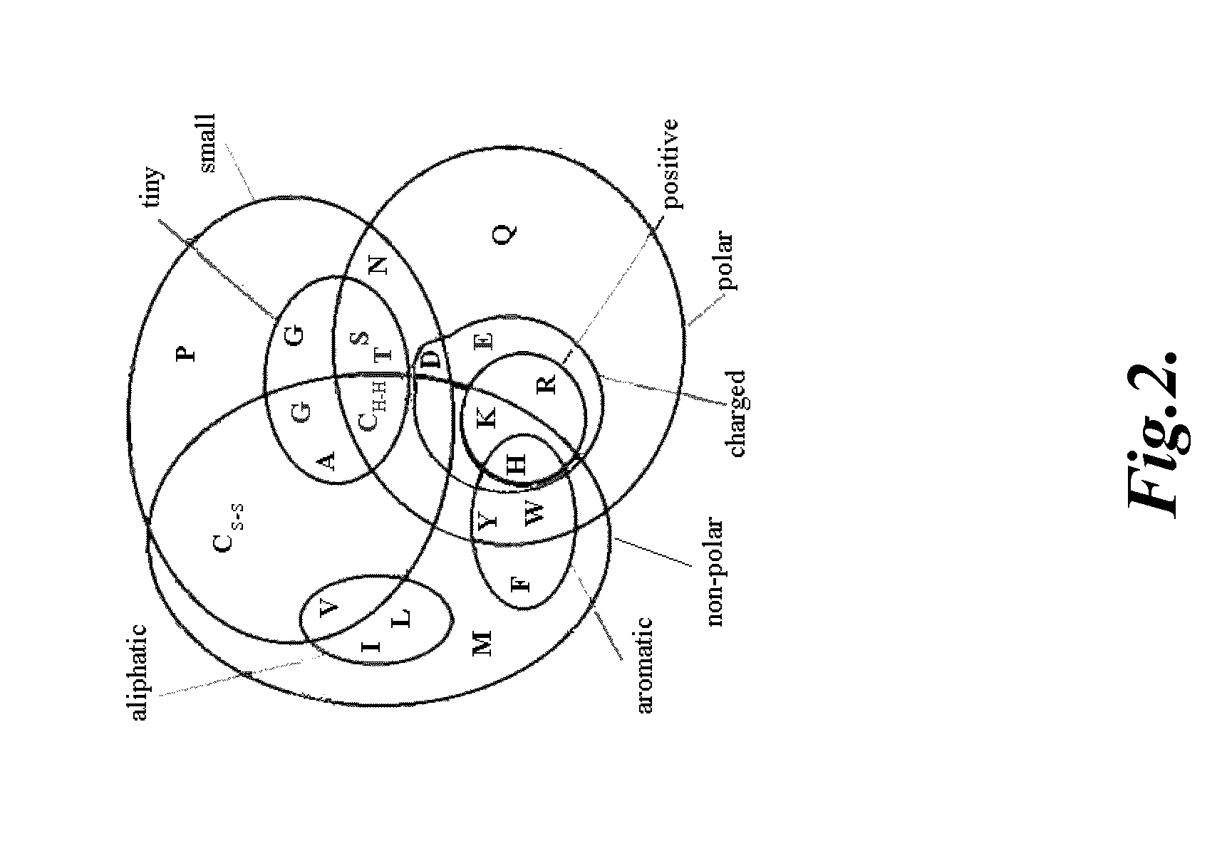 Compositions and methods for modulating γ-c-cytokine activity