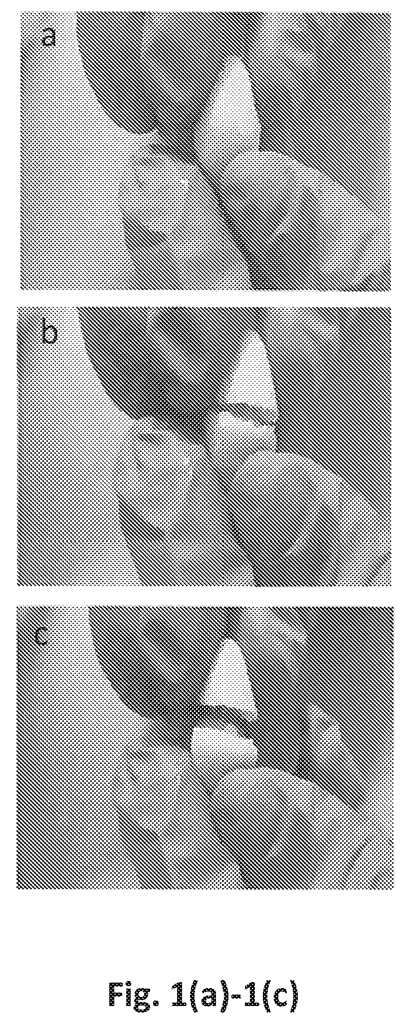 Compositions and methods for repairing bone