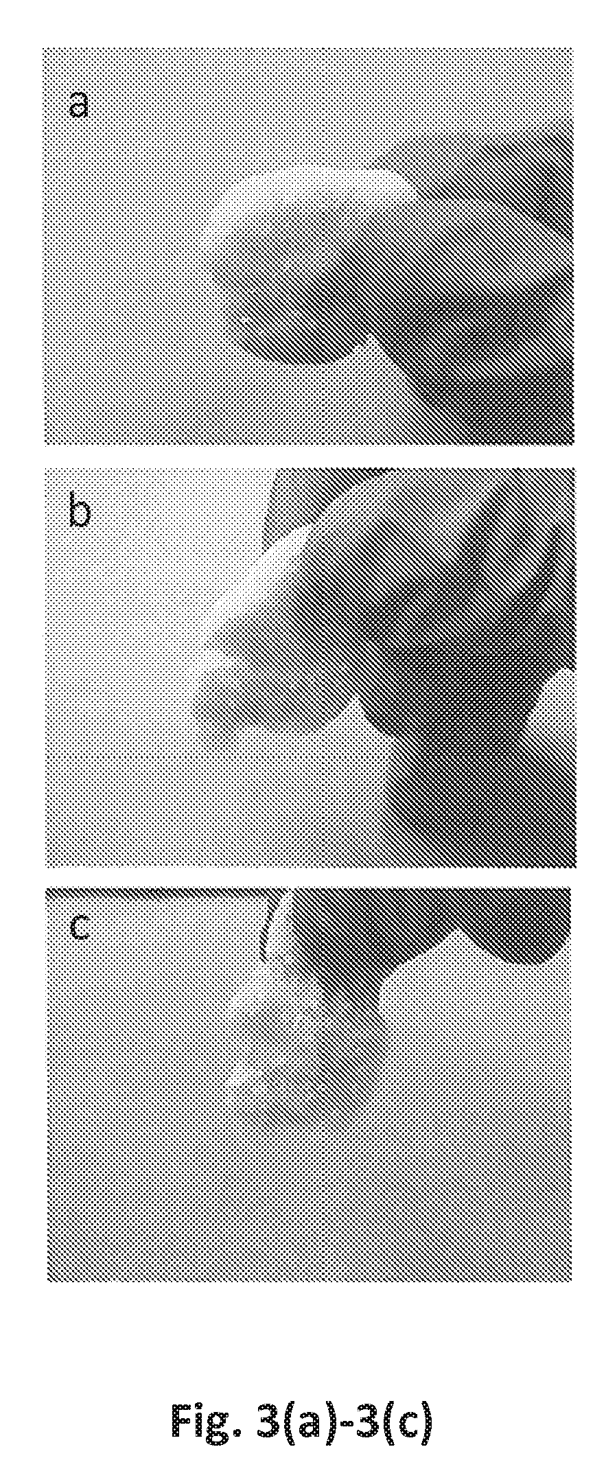 Compositions and methods for repairing bone