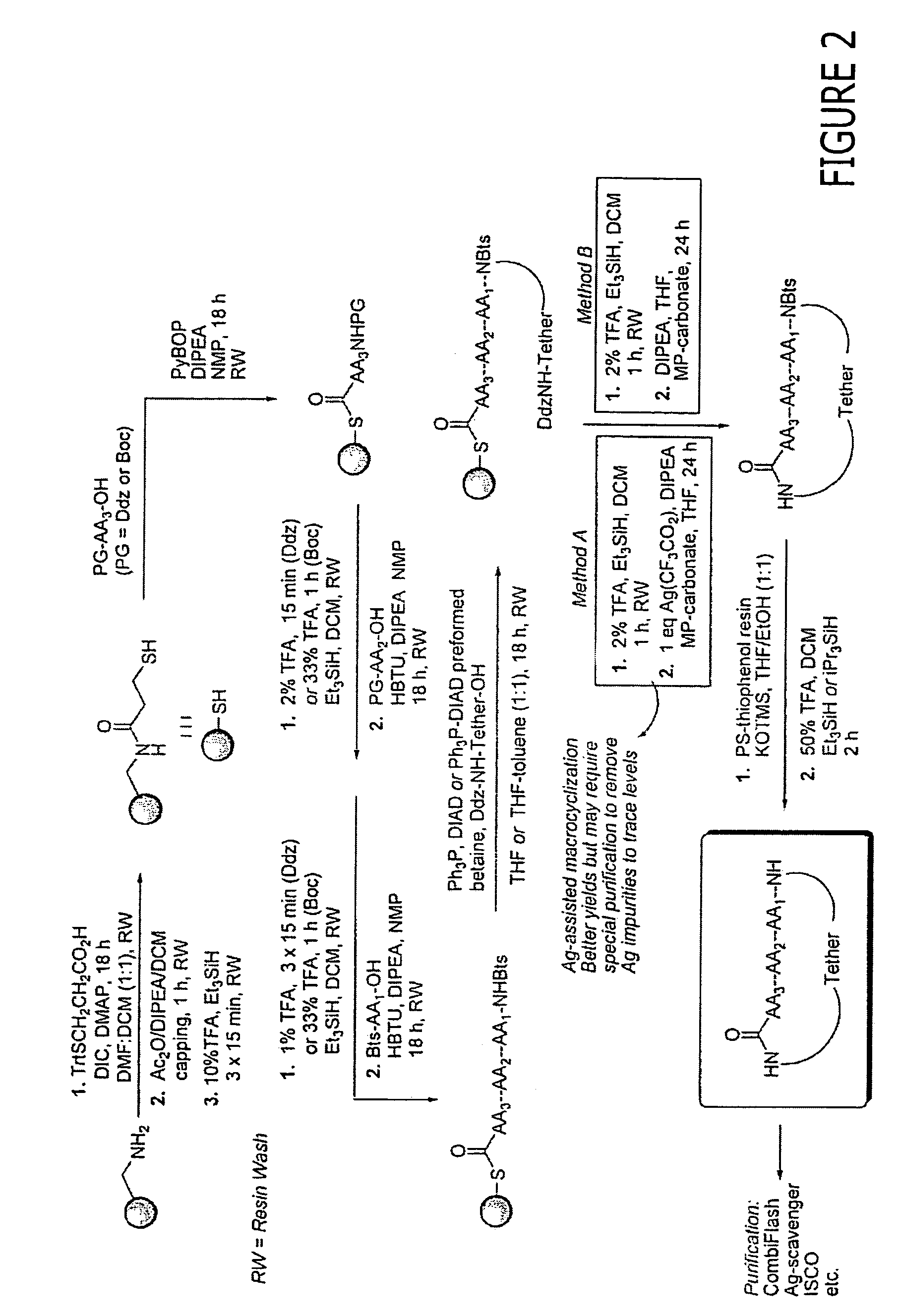Methods of using macrocyclic modulators of the ghrelin receptor