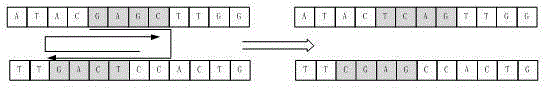 A complex chemical process modeling method based on dna genetic algorithm based on bee colony behavior