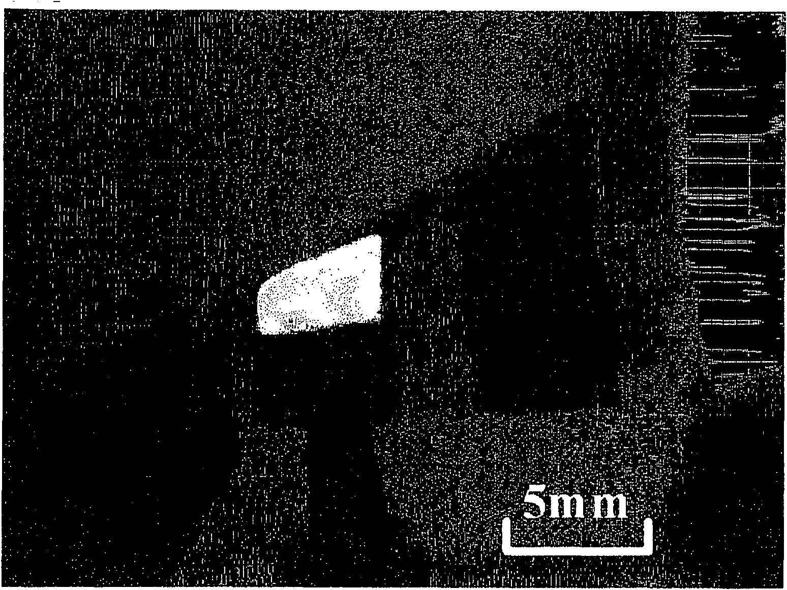 Image display device and organic electroluminescent element