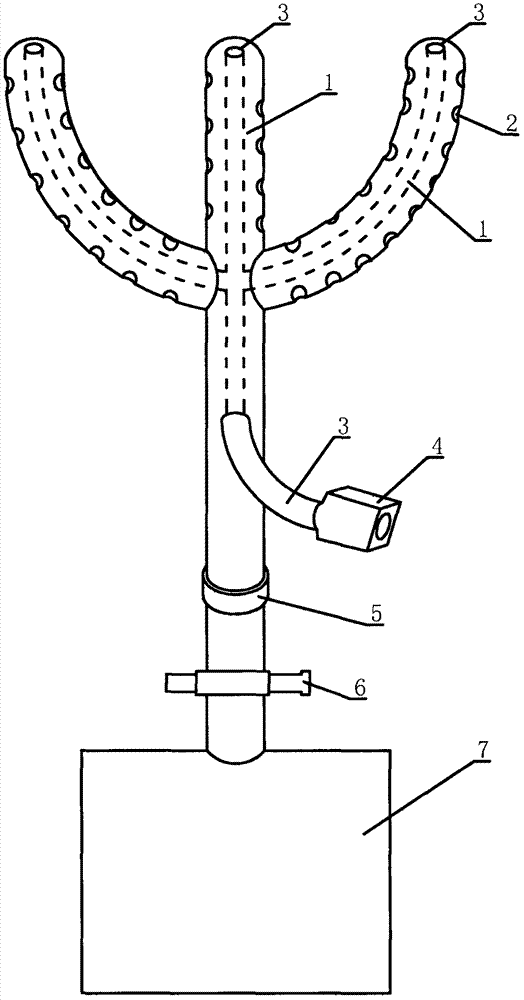 Vomica flushing and drainage device