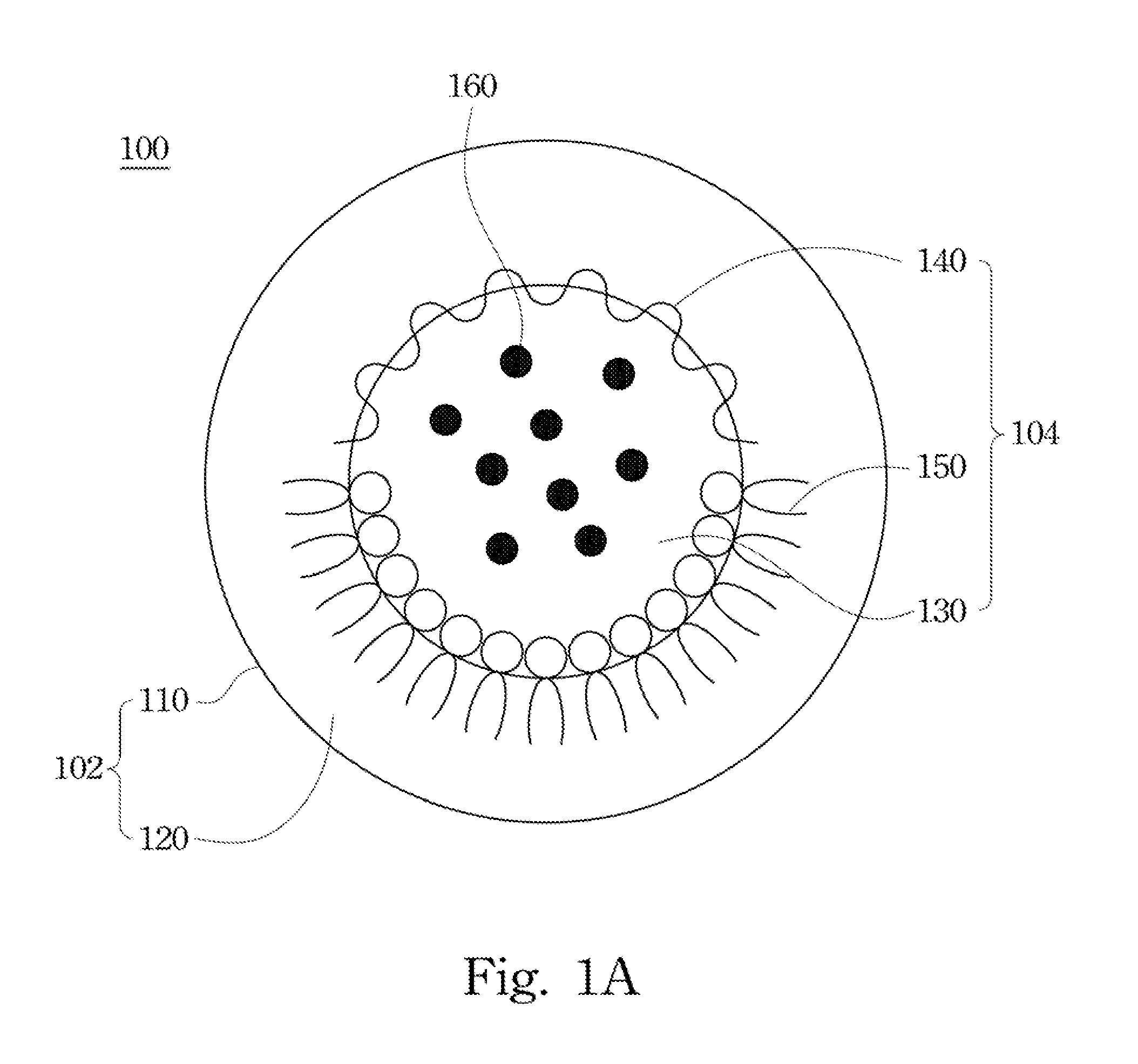 Drug carrier and preparation method thereof