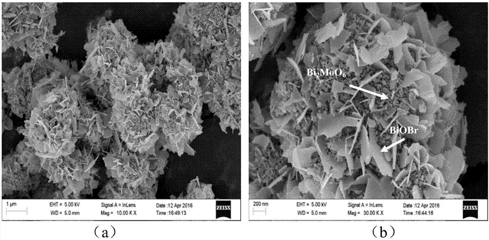 Bismuthyl bromide/bismuth molybdate heterojunction photocatalyst as well as preparation method and application thereof