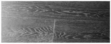 Carbonization treatment agent and preparation method of carbonized floor