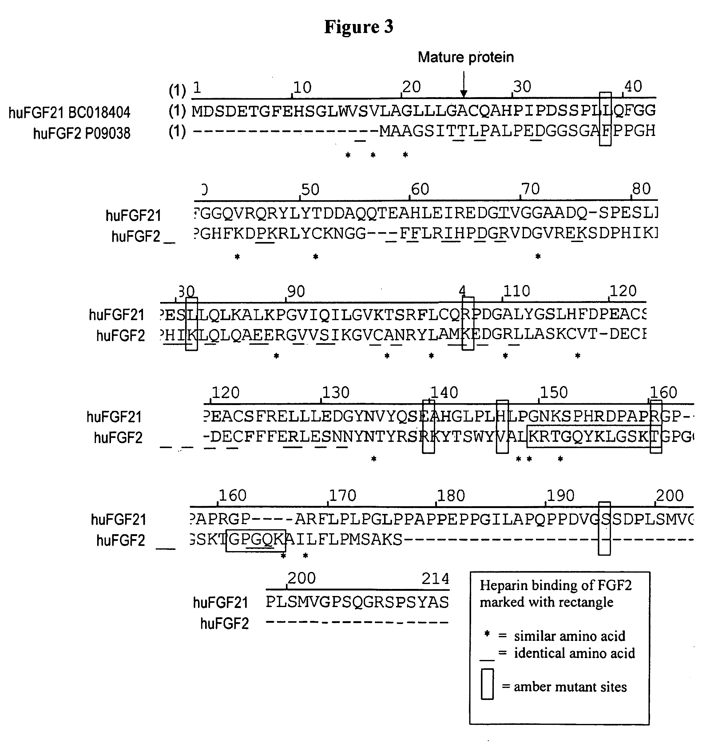 Modified FGF-21 Polypeptides and Their Uses