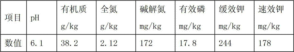 Synergist promoting absorption of nitrogen