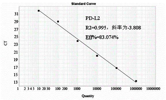 Construction of PD-L2 recombinant plasmid of chick peripheral blood mononuclear lymph cell, gene abundance real-time detecting method and application thereof