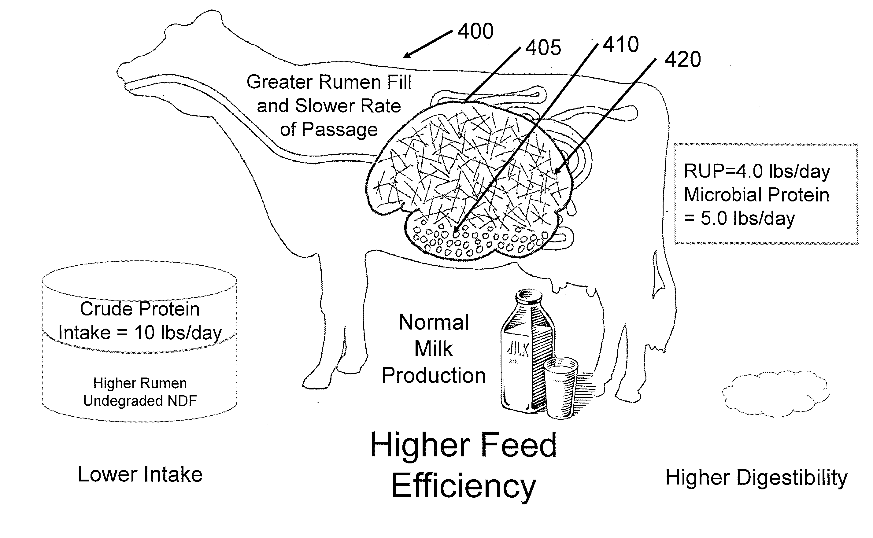 Methods and systems for adjusting rumen undegraded protein in animal diets