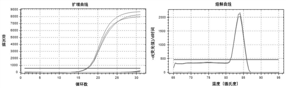 Primer combination and plasmid for simultaneously detecting 9 kinds of respiratory tract viruses and detection kit