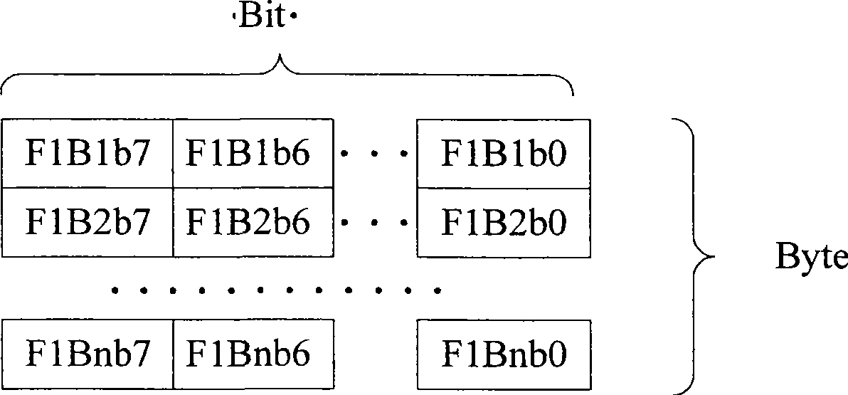 Method for simultaneously loading multiple FPGA using CPU