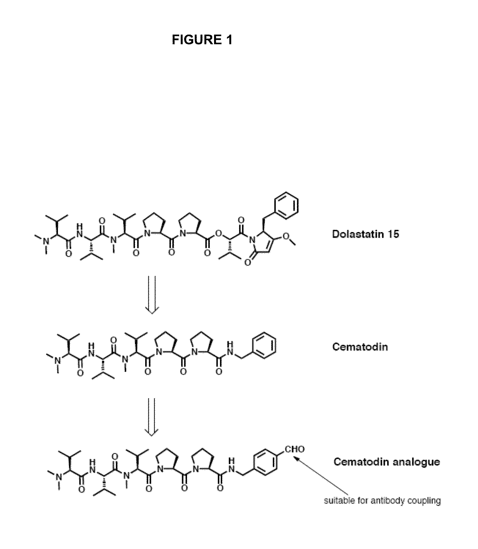 Thiazolidine linker for the conjugation of drugs to antibodies