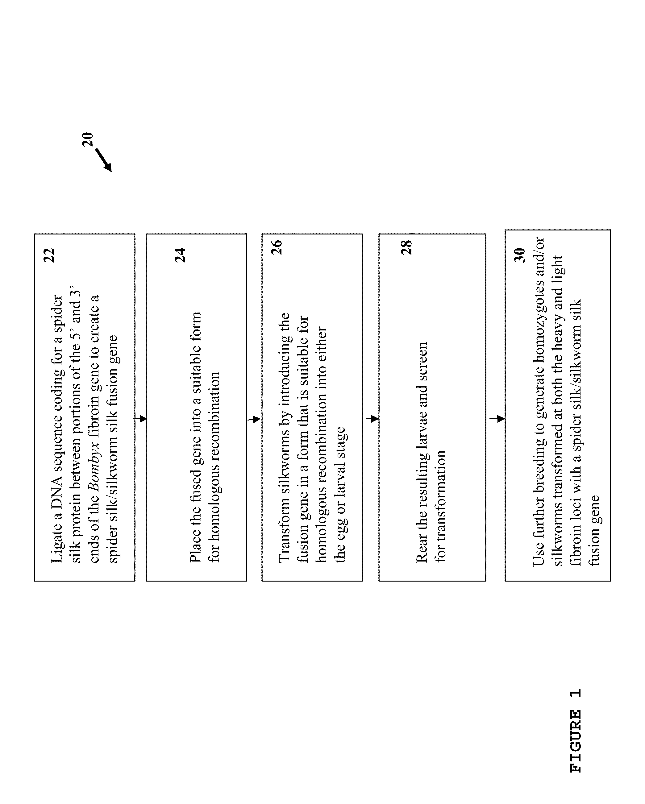 Methods, compositions and systems for production of recombinant spider silk polypeptides