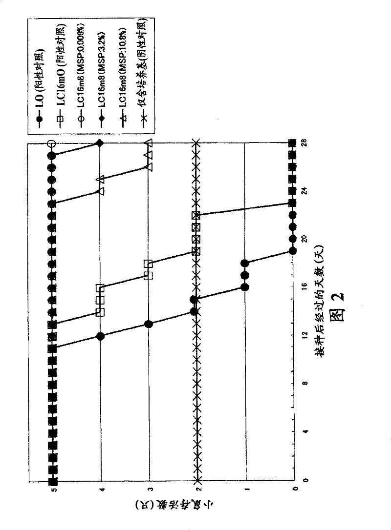 Method for production of live smallpox vaccine