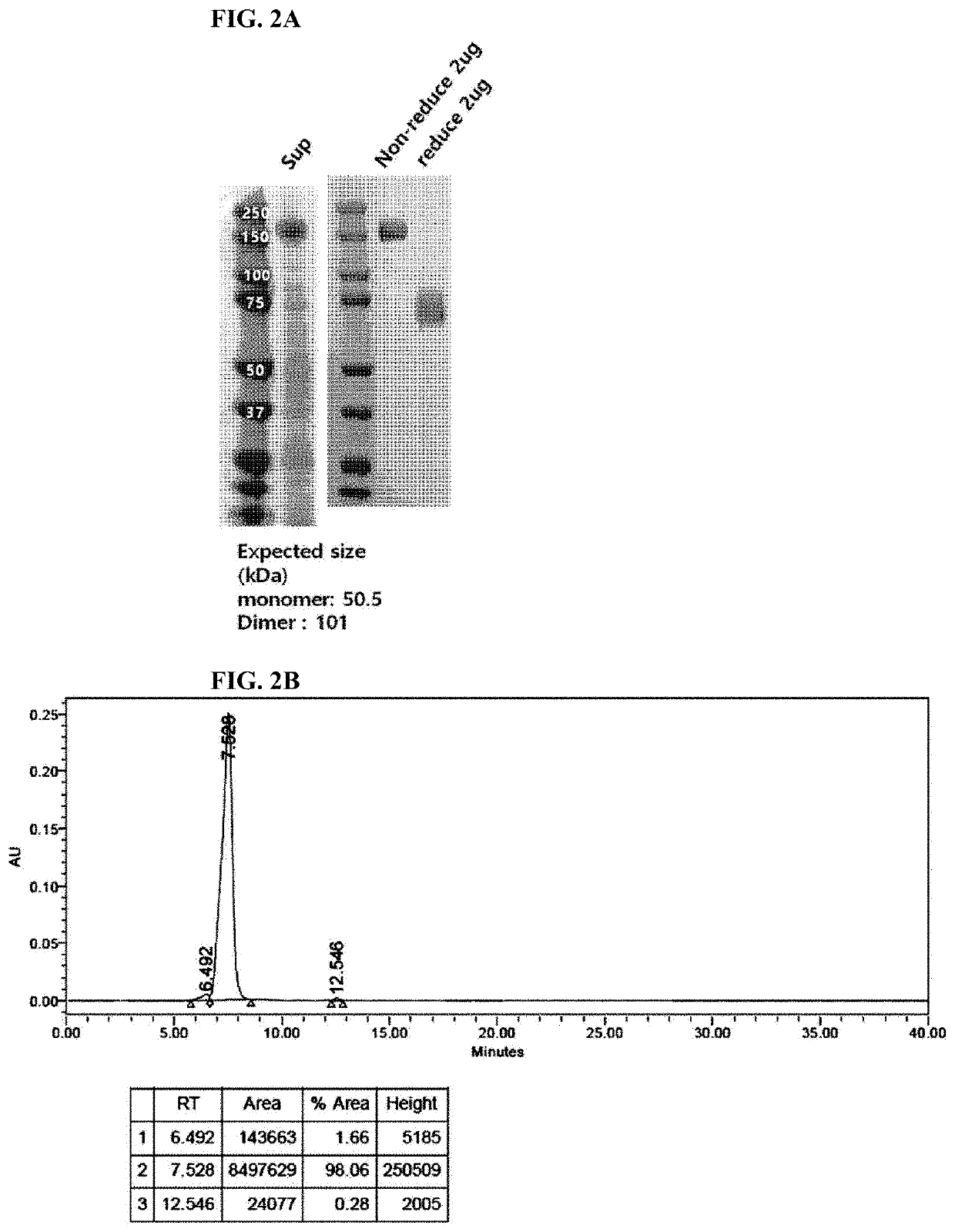 Composition for culturing regulatory t cells and use thereof