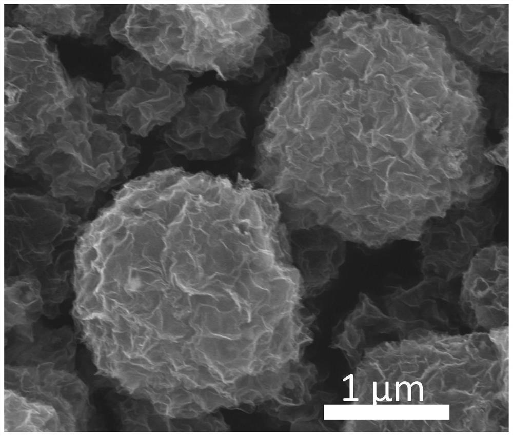 A kind of novel lithium-ion battery negative electrode material and preparation method thereof