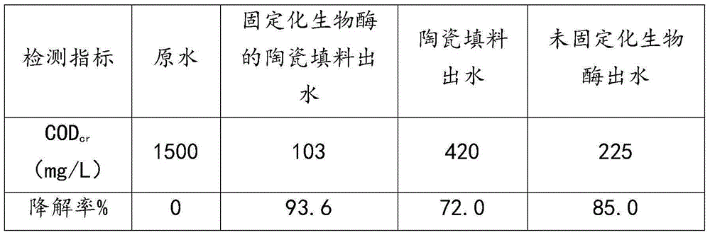 Method for immobilizing bio-enzyme in ceramic filling material