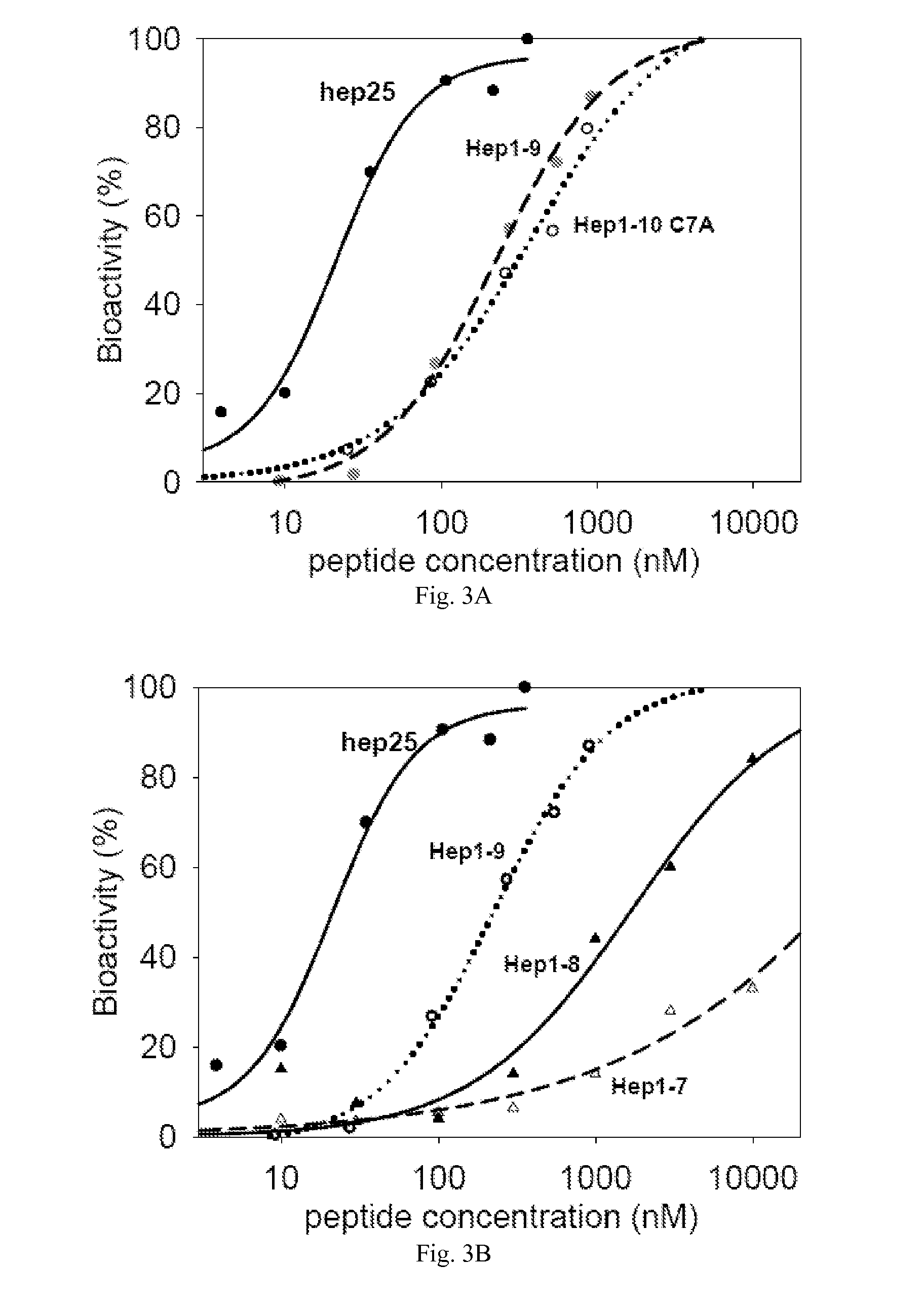 Modified Mini-Hepcidin Peptides and Methods of Using Thereof