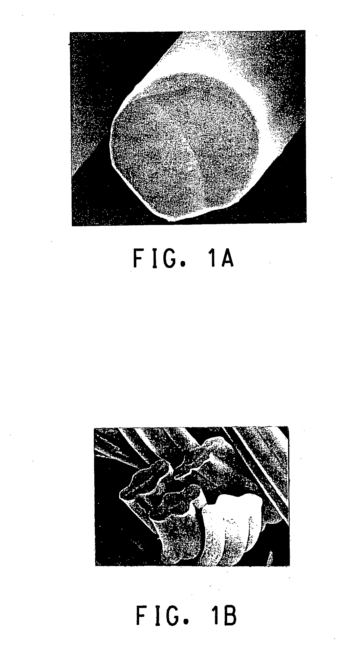 Bicomponent fiber and yarn comprising same