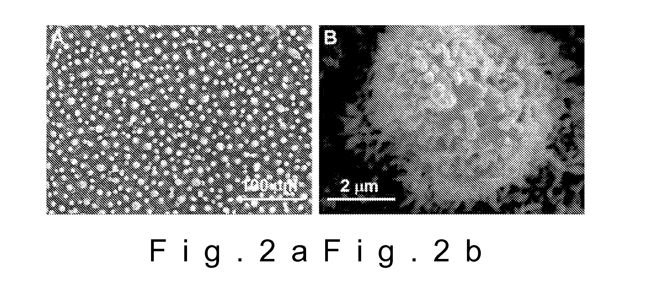 Hydrophobic coating and a method for producing hydrophobic surface
