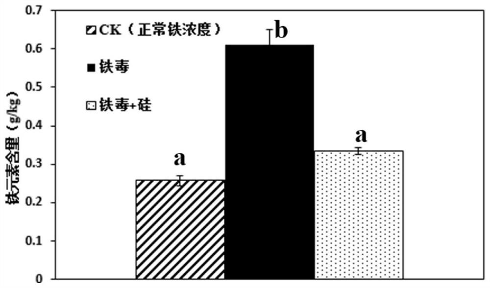 Panax ginseng pgbhlh149 transcription factor and its application