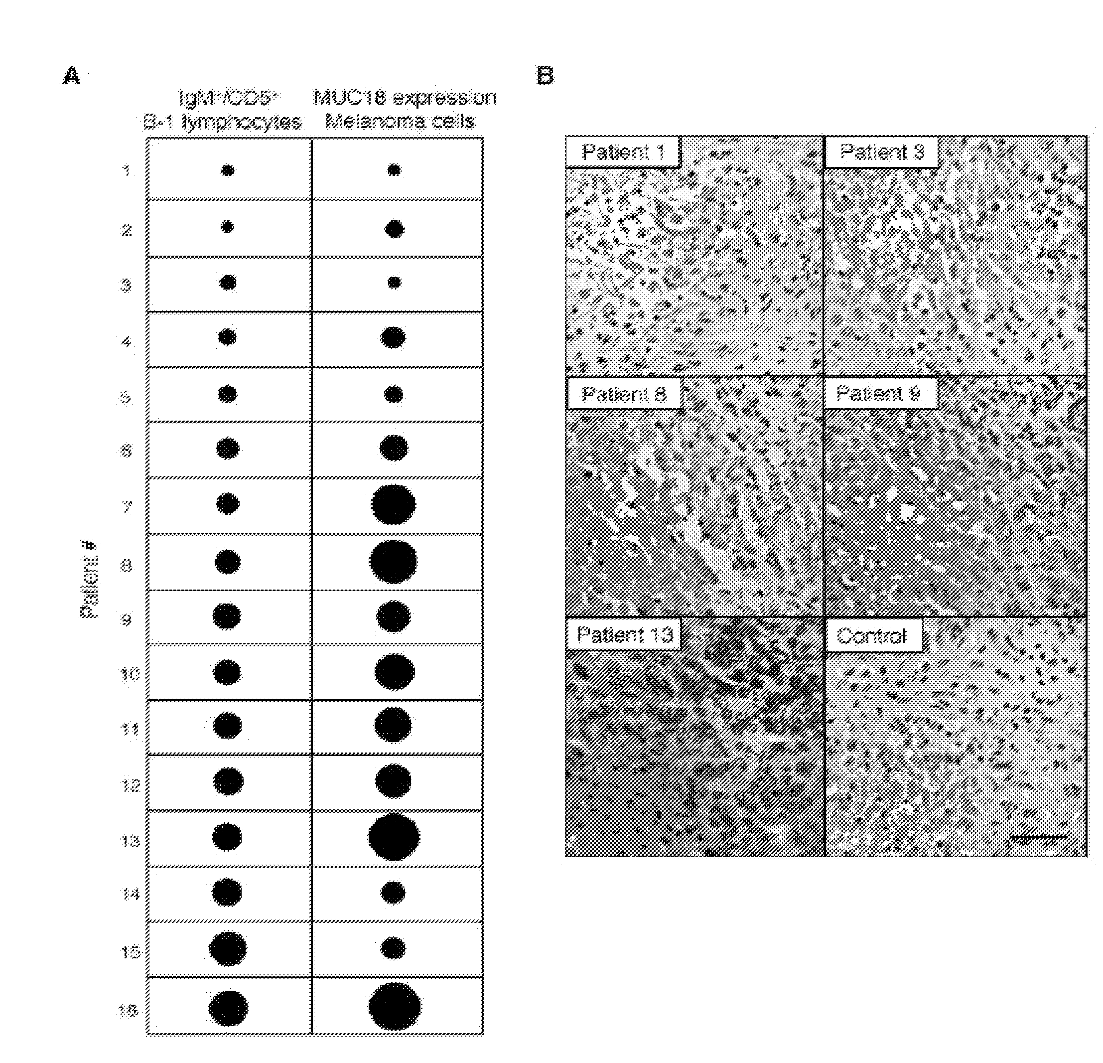 Muc18 targeting peptides