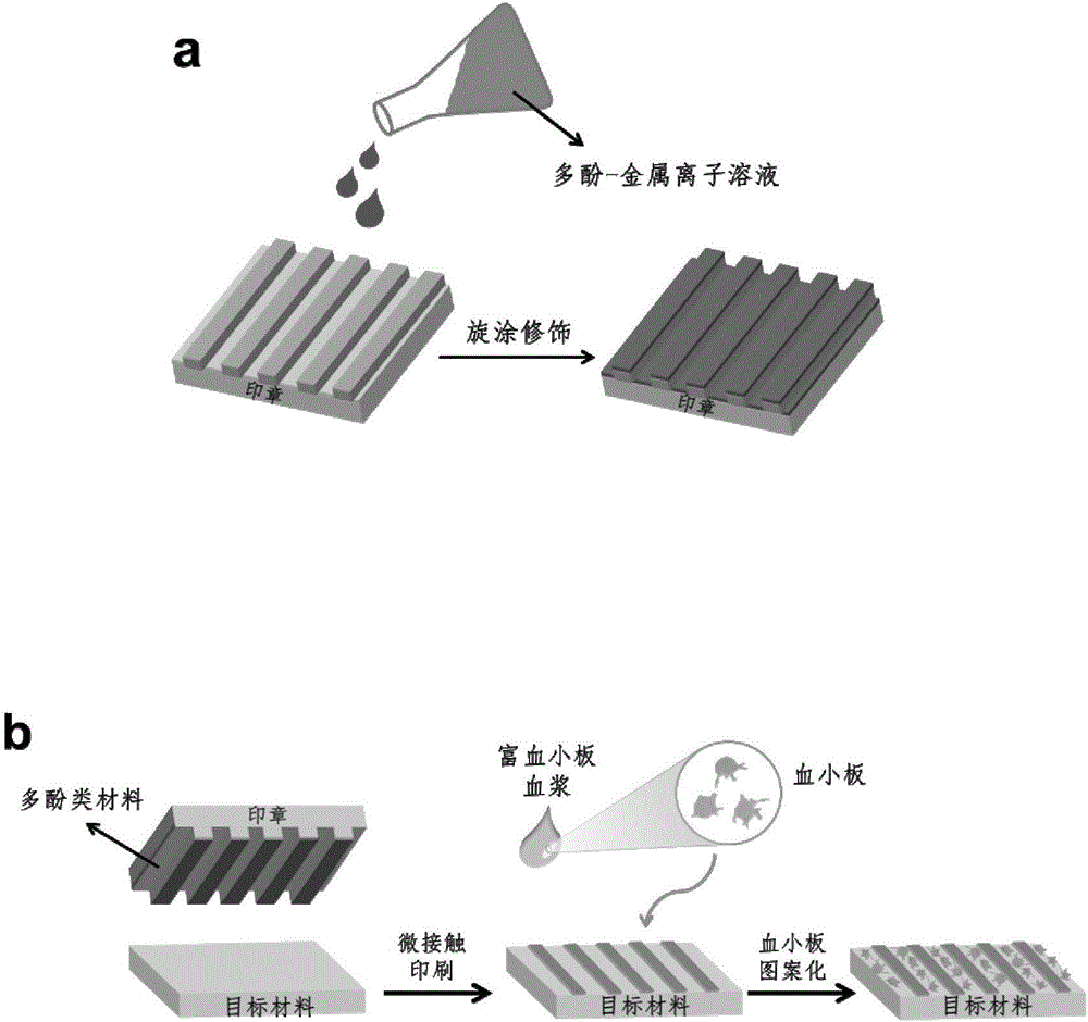 Method for realizing platelet patterning by polyphenols on material surface