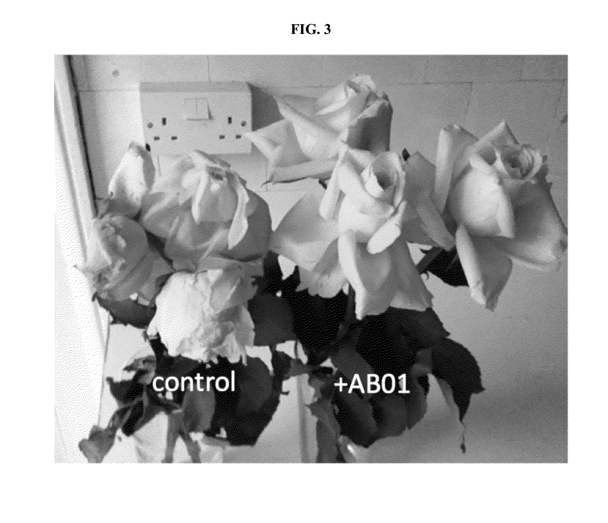 Strigolactone formulations and uses thereof