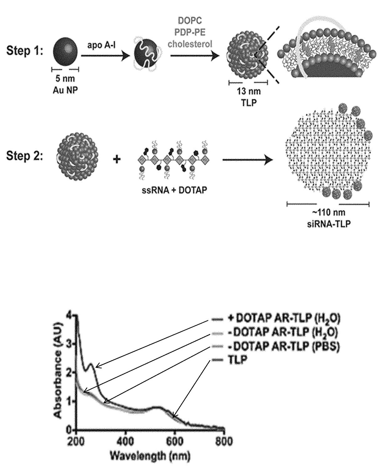 Short interfering RNA templated lipoprotein particles (sirna-tlp)